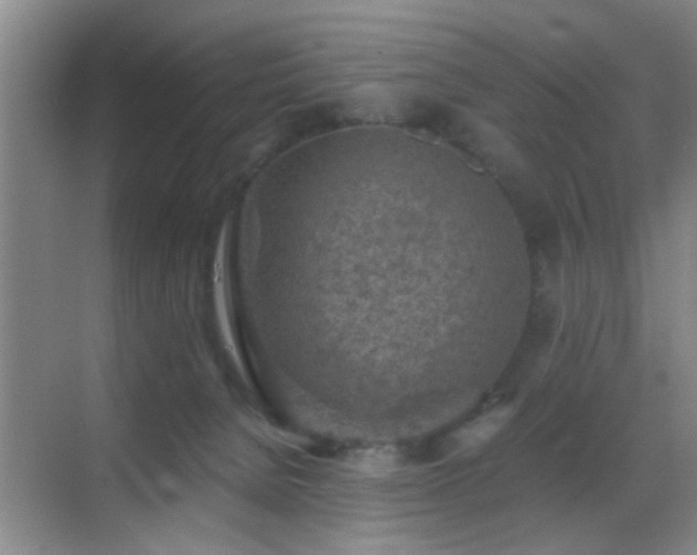 X0000069830080200605191151