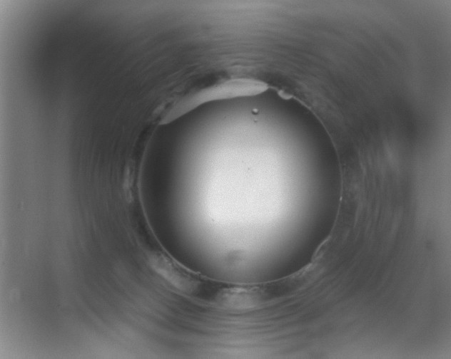 X0000069830082200605191151