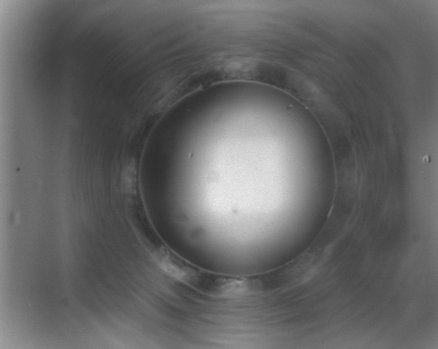 X0000069830083200605191151