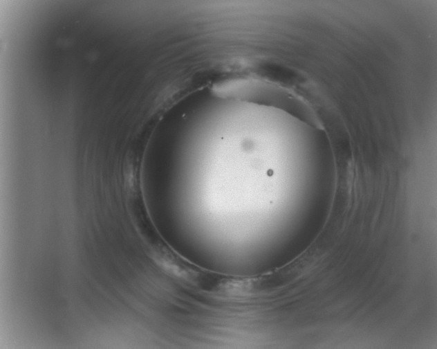 X0000069830084200605191151