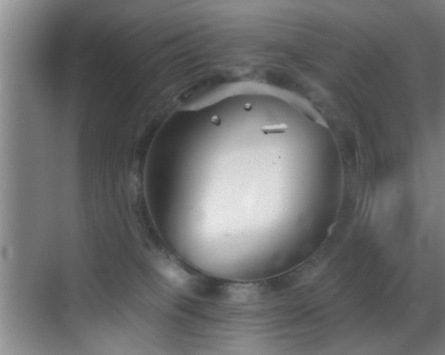 X0000069830085200605191151