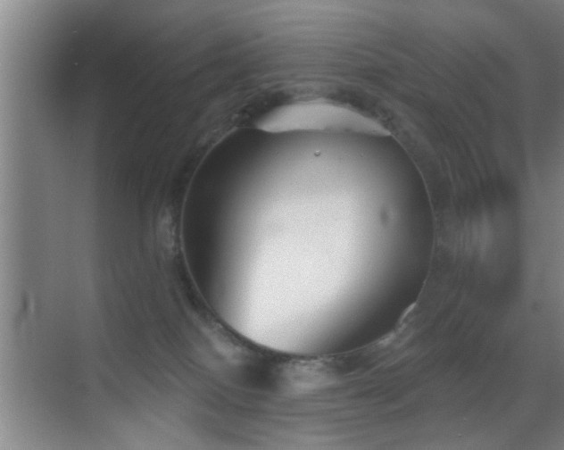 X0000069830086200605191151