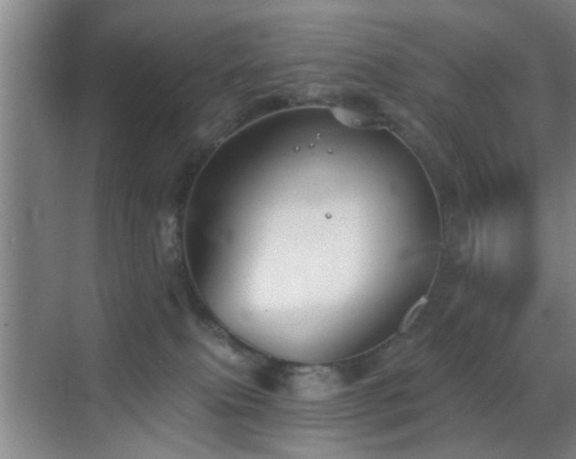 X0000069830087200605191151