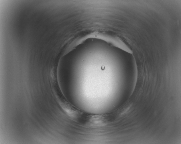 X0000069830088200605191151