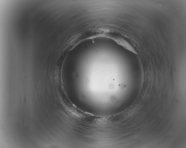 X0000069830092200605191151