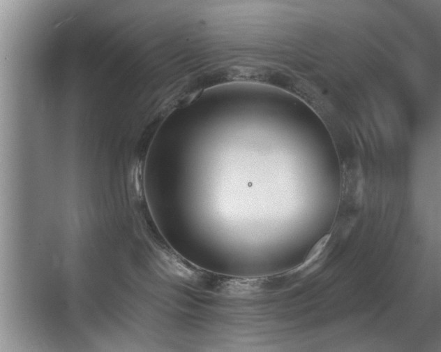 X0000069830094200605191151