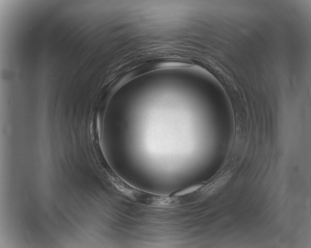 X0000069830096200605191151