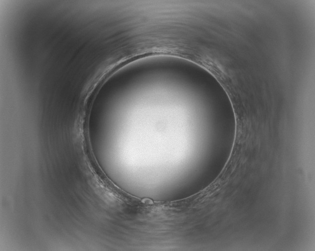 X0000069830098200605191150