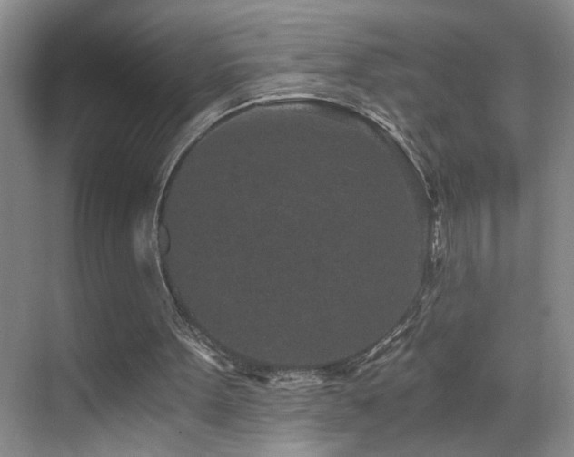 X0000069830099200605191150