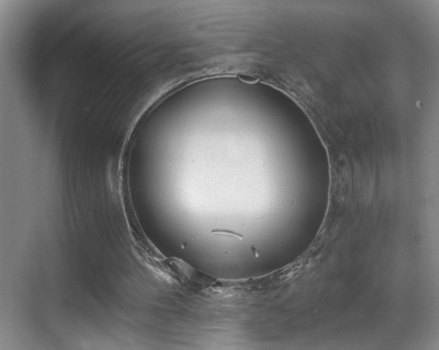 X0000069830100200605191150