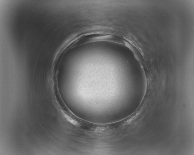 X0000069830101200605191150