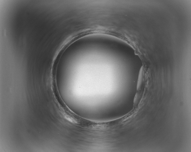 X0000069830102200605191150