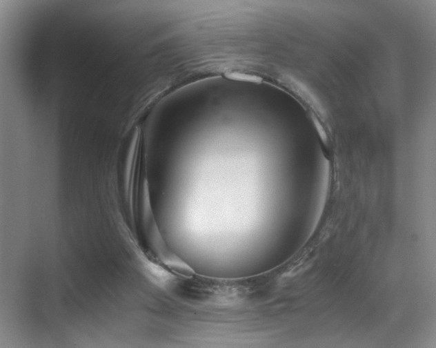 X0000069830105200605191150