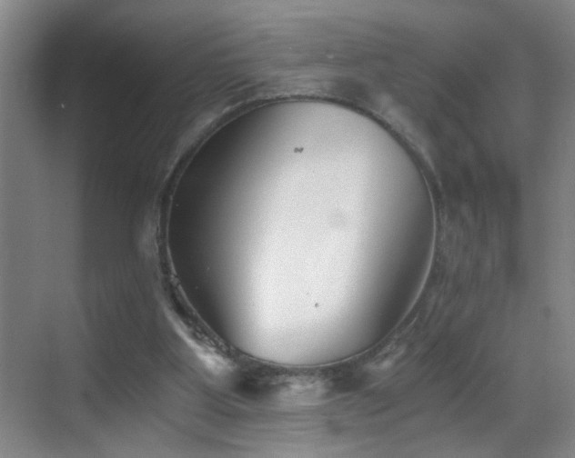 X0000069830107200605191150