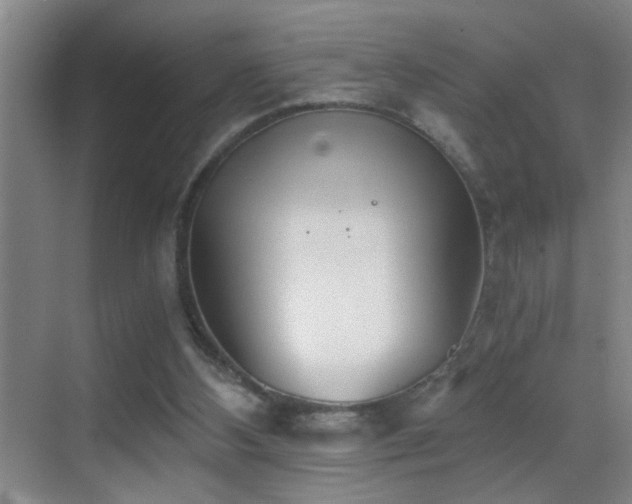 X0000069830108200605191150