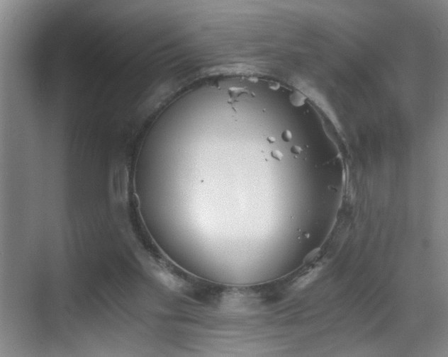 X0000069830109200605191150