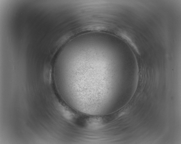 X0000069830110200605191150