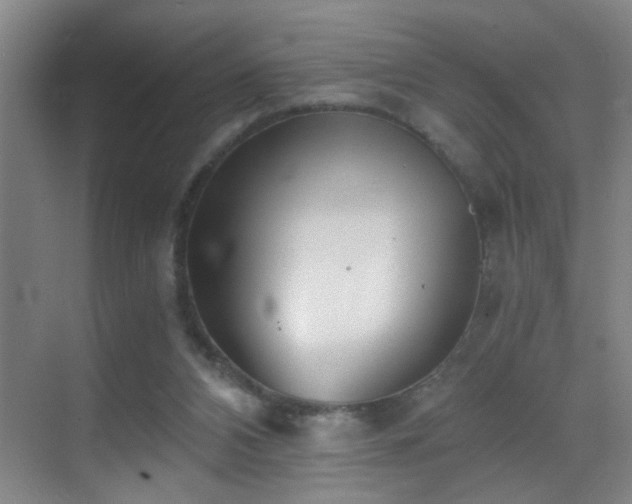 X0000069830112200605191150