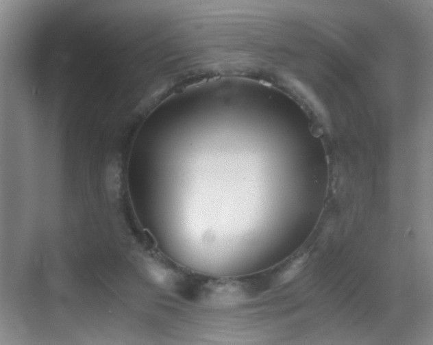 X0000069830113200605191150