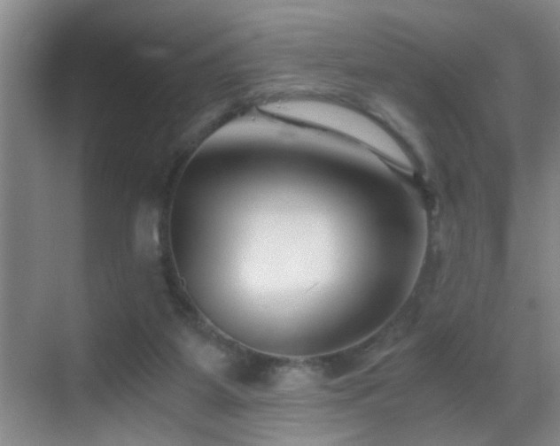 X0000069830115200605191150