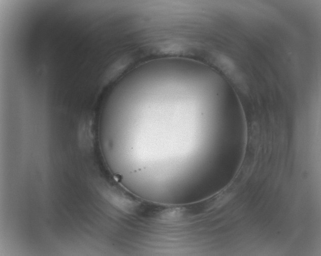 X0000069830116200605191150