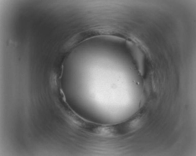 X0000069830117200605191150