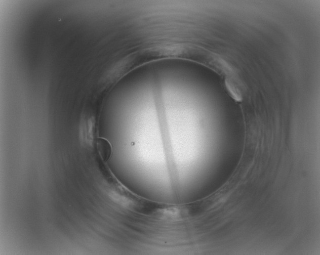 X0000069830118200605191150