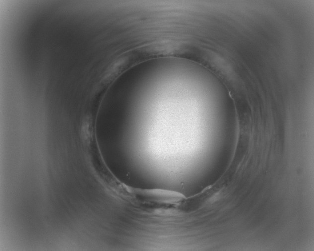 X0000069830119200605191150