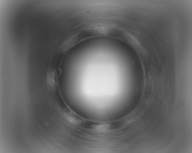 X0000069830122200605191150