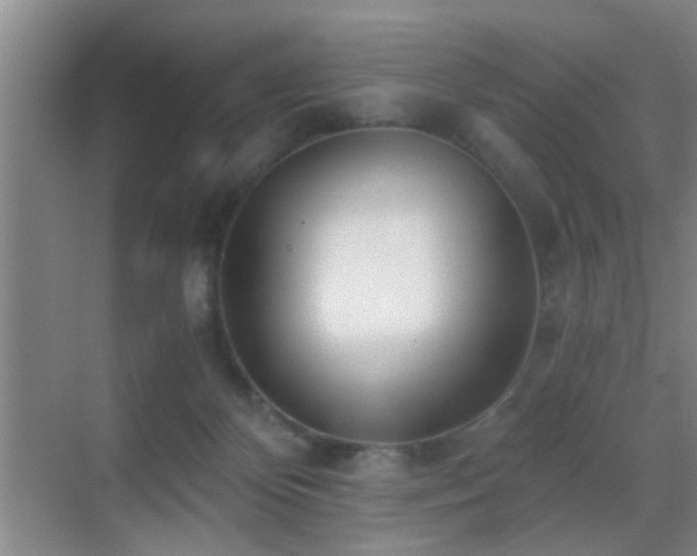 X0000069830124200605191150