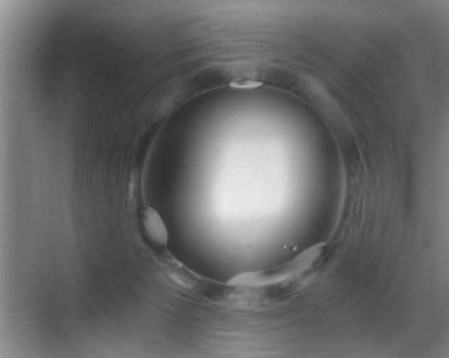 X0000069830125200605191150