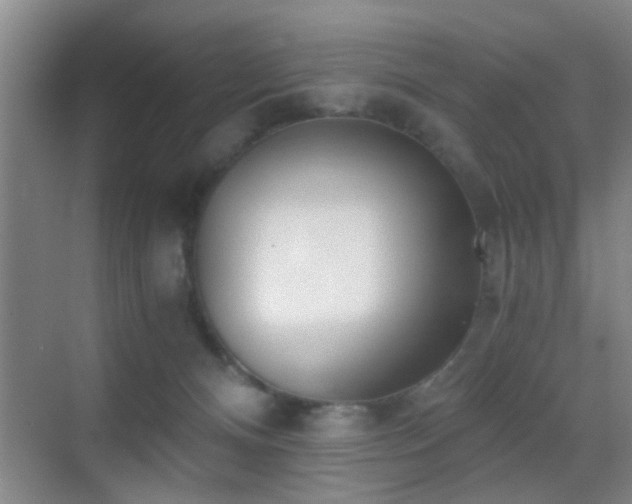 X0000069830128200605191150