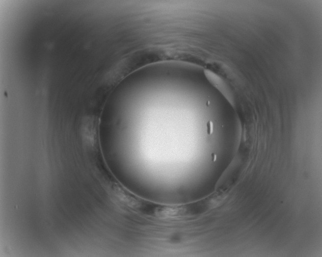 X0000069830129200605191150