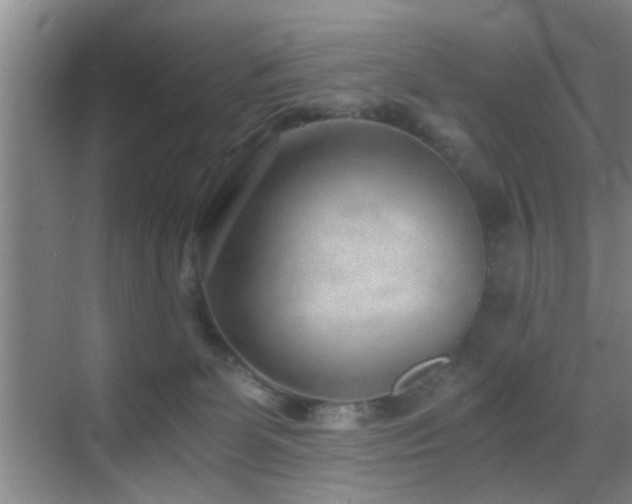 X0000069830131200605191150