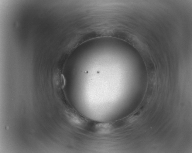 X0000069830133200605191149