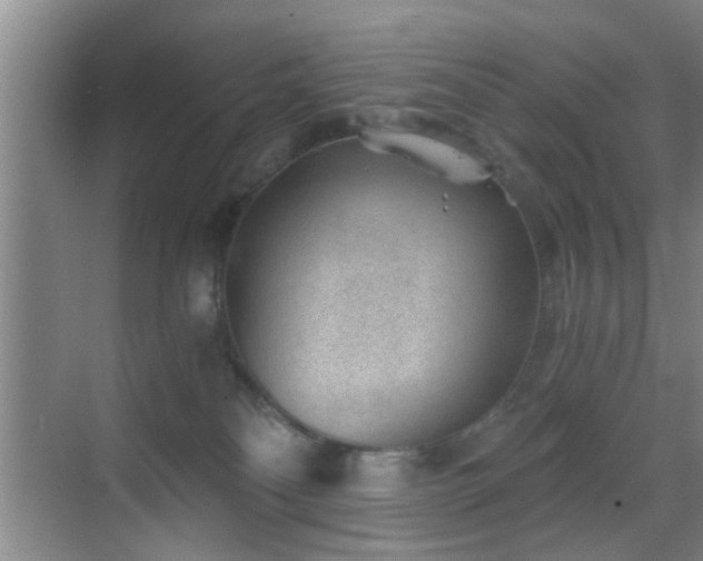 X0000069830134200605191149