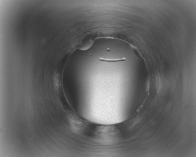 X0000069830135200605191149