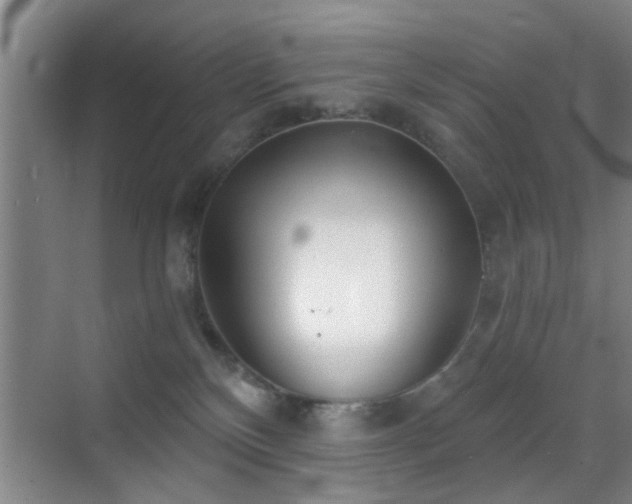 X0000069830136200605191149