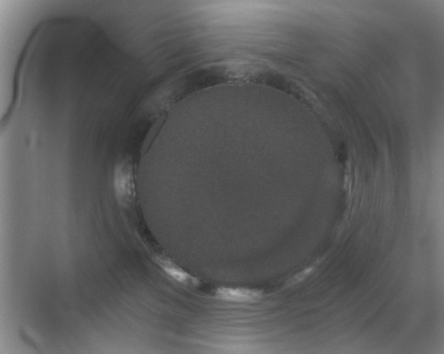 X0000069830137200605191149