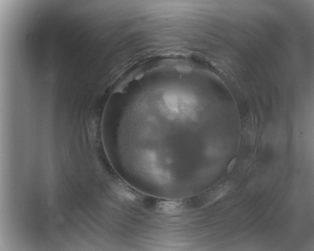 X0000069830139200605191149