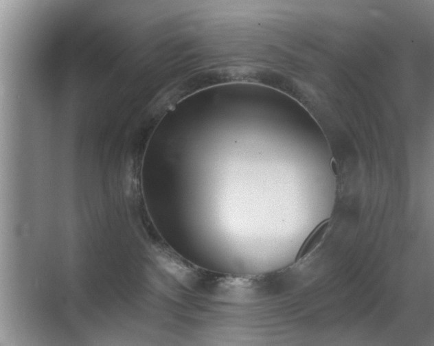 X0000069830140200605191149