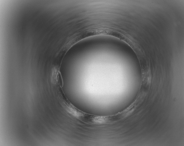 X0000069830142200605191149