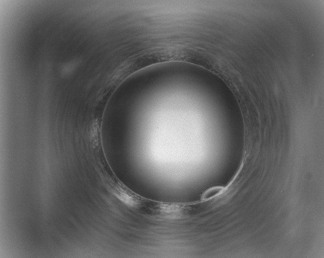 X0000069830144200605191149