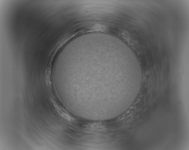 X0000069830146200605191148