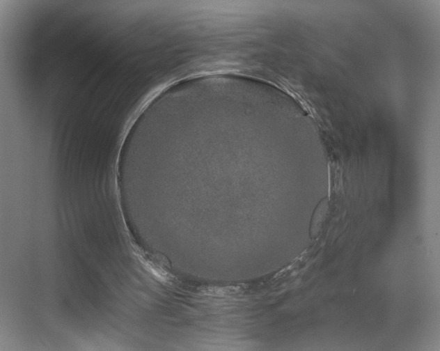 X0000069830147200605191149