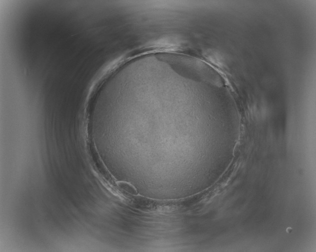 X0000069830149200605191149