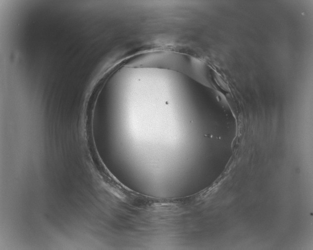 X0000069830150200605191149