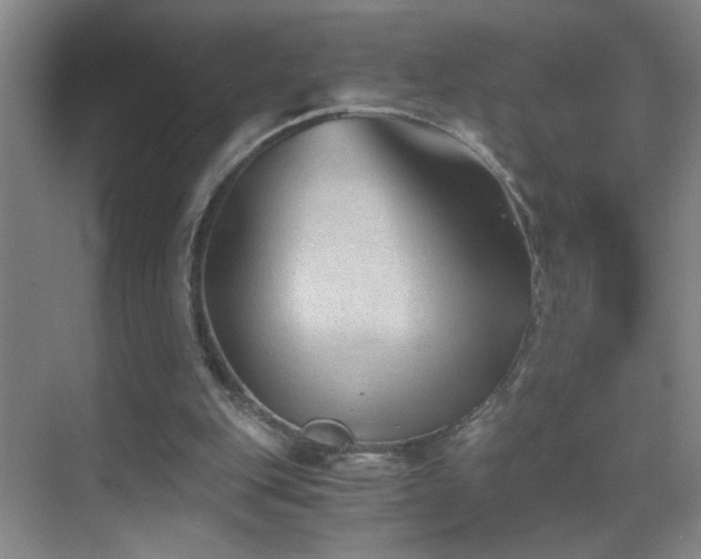 X0000069830151200605191149