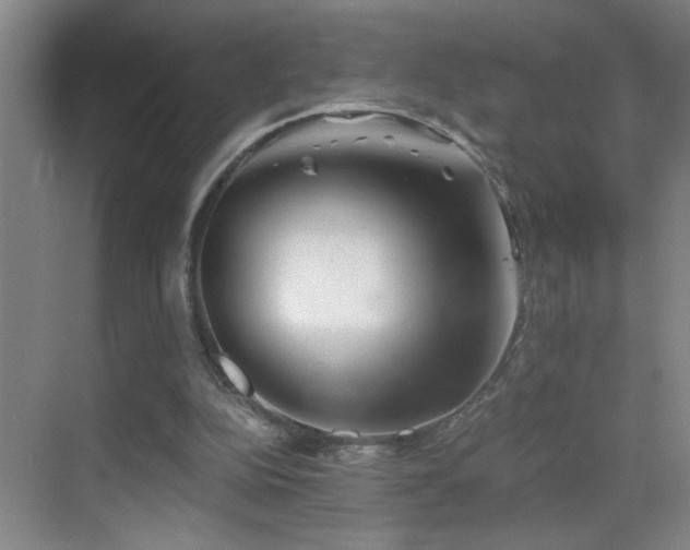 X0000069830152200605191149