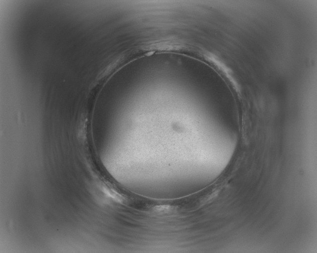 X0000069830153200605191149